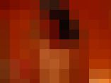 23569 00 1